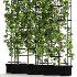 Room Divider Planter - Thumbnail 5