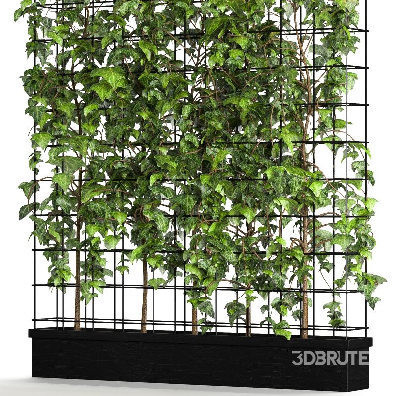 Room Divider Planter Image 5
