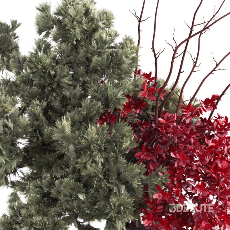 Crimson Accents Pine Vase 48 Image 4