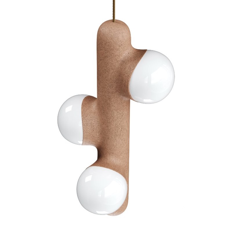 PRICKLY PEAR Image 3