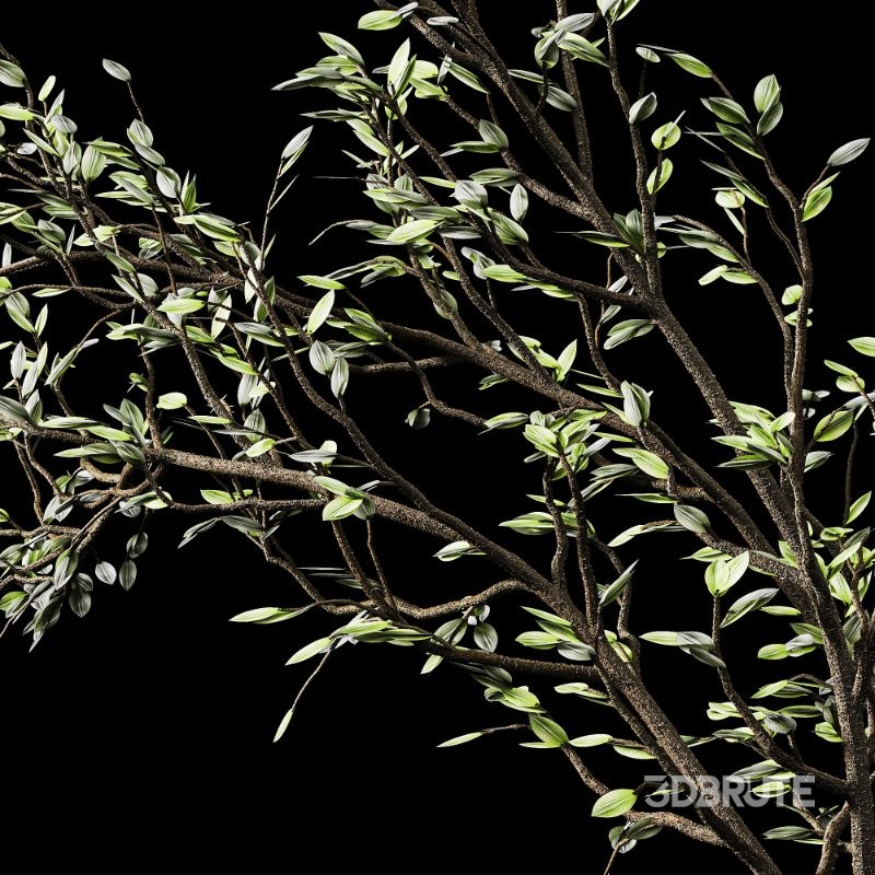 Flowering branch in a vase 01 Image 4