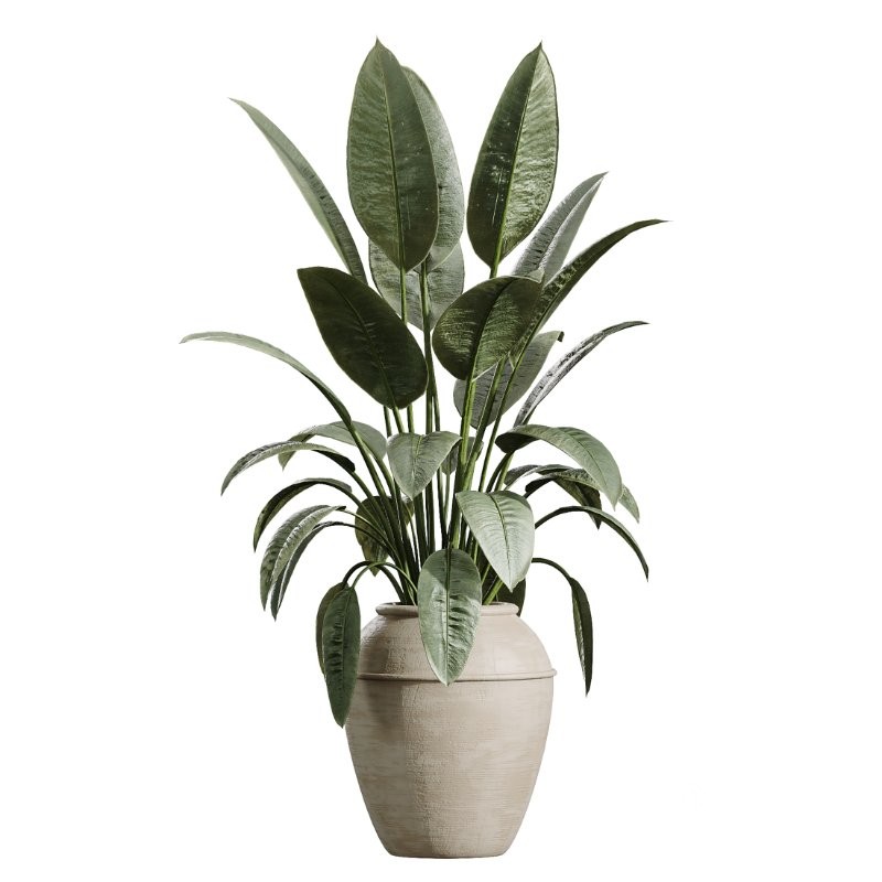 AV Indoor Plants Set 429 Palm Euphorbia Olive Ficus Image 3