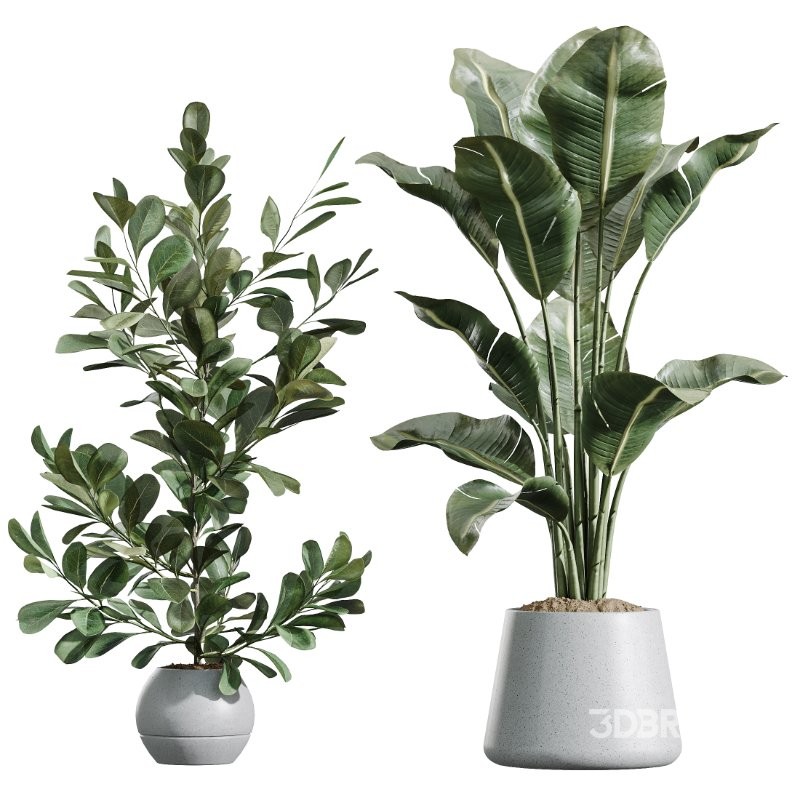 ntal forms, and vibrant fruit detail creates a balanced botanical palette perfect for contemporary homes, minimalist interiors, luxury offices, and commercial spaces. Image 8