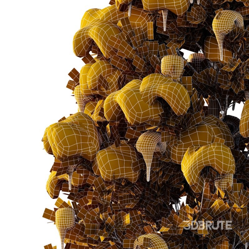 Eastern Red Cedar Winter Tree 01 Image 3