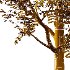 Rowan tree 19 - Thumbnail 4