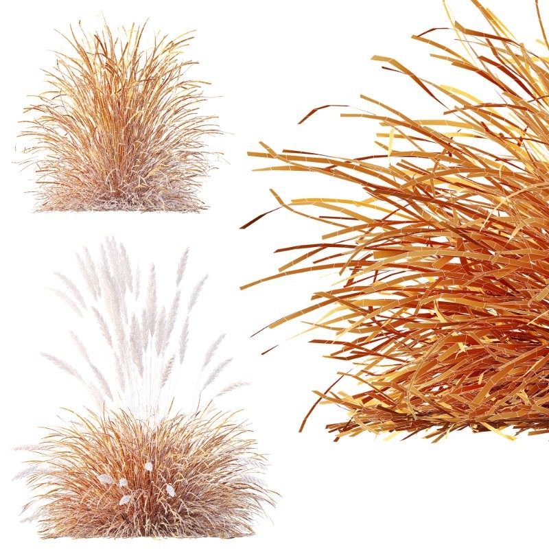 ntal grass set. Featuring the iconic Calamagrostis Acutiflora ‘Karl Foerster’—known for its tall, upright plumes—and the soft, arching forms of Stipa Arundinacea (Anemanthele Lessoniana), this collection captures the subtle beauty and dynamic movement of real-world meadow vegetation. Image 15