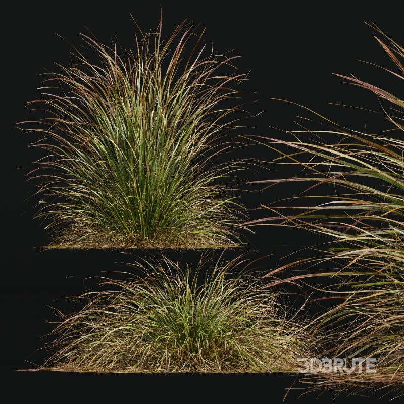 ntal grasses. These tufted, wind-swept grasses are modeled with exceptional care to capture their signature arching blades, airy volume, and subtle color variation ranging from warm yellow-greens to earthy bronze tones. Image 4