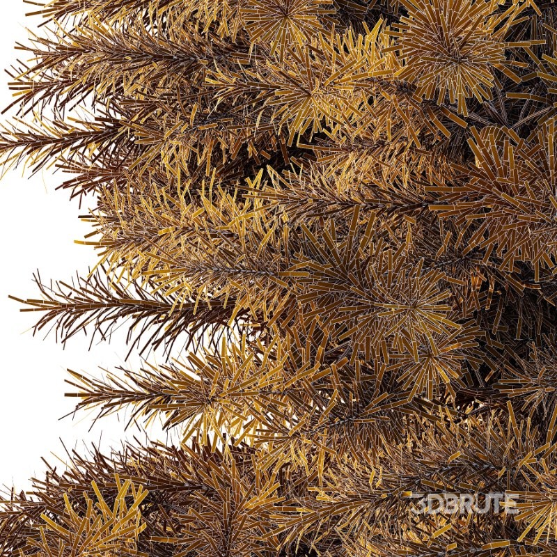 Blue Spruce Tree 02 Image 3