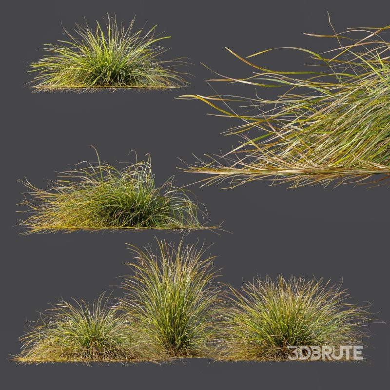 ntal grasses. These tufted, wind-swept grasses are modeled with exceptional care to capture their signature arching blades, airy volume, and subtle color variation ranging from warm yellow-greens to earthy bronze tones. Image 11