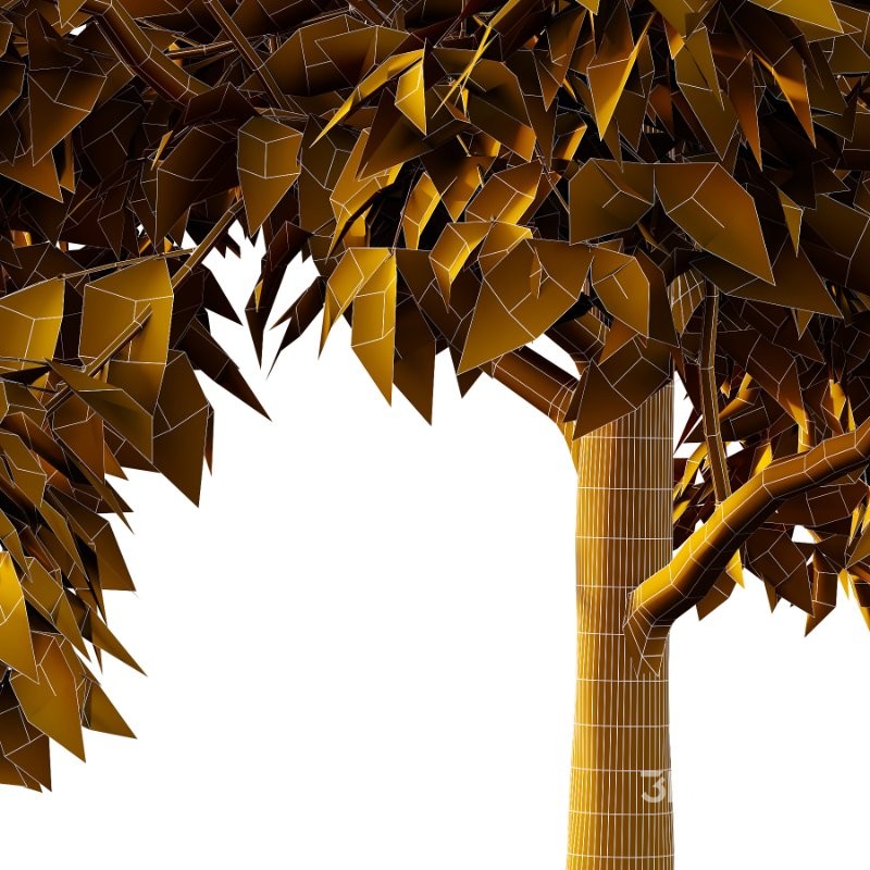 Diffrent Tree Tilia platyphyllos Celtis australis 02 Image 4