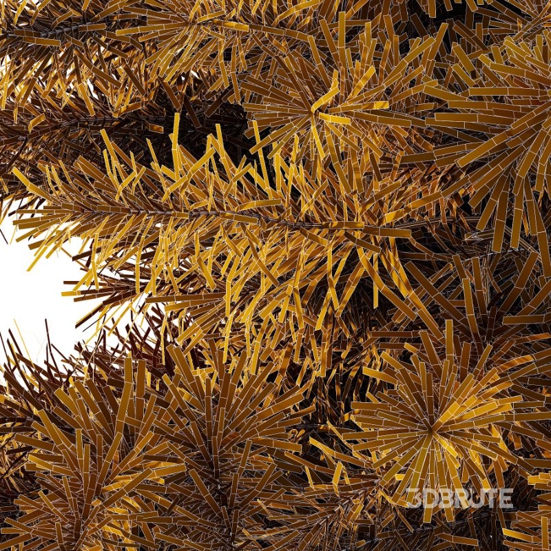 Blue Spruce Tree 01 Image 2