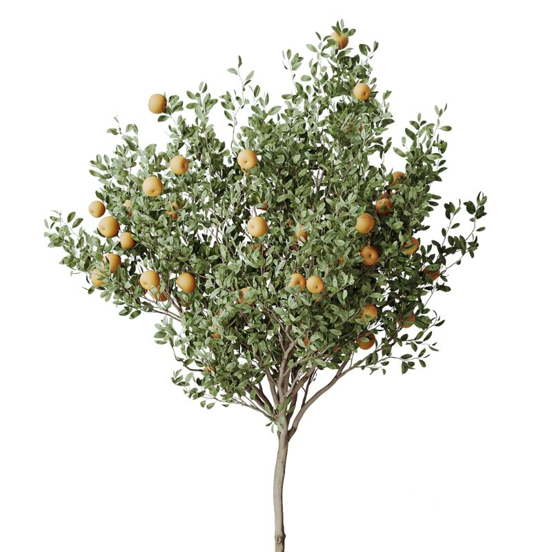 ntal forms, and vibrant fruit detail creates a balanced botanical palette perfect for contemporary homes, minimalist interiors, luxury offices, and commercial spaces. Image 4