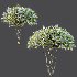 ntal accent plants. Each model is crafted with clean quad-based topology, natural proportions, and high-resolution 4K textures that bring clarity and authenticity to both close-up details and wide landscape shots. - Thumbnail 6