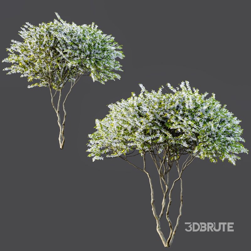 ntal accent plants. Each model is crafted with clean quad-based topology, natural proportions, and high-resolution 4K textures that bring clarity and authenticity to both close-up details and wide landscape shots. Image 6