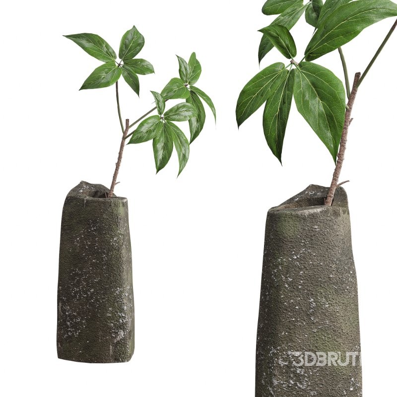 Wild Flower Bouquet Raw Stone Vase Image 6