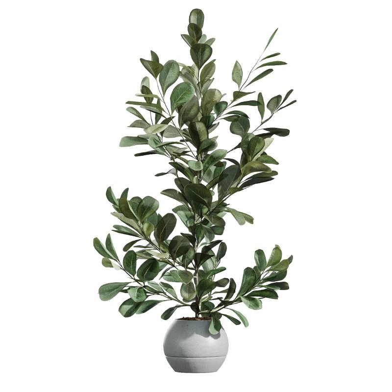 ntal forms, and vibrant fruit detail creates a balanced botanical palette perfect for contemporary homes, minimalist interiors, luxury offices, and commercial spaces. Image 5