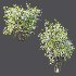 ntal accent plants. Each model is crafted with clean quad-based topology, natural proportions, and high-resolution 4K textures that bring clarity and authenticity to both close-up details and wide landscape shots. - Thumbnail 3