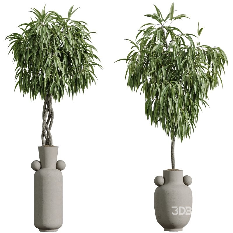 AV Indoor Plants Set 422 Ficus Binnendijkii and Zamiifolia and Green Sansevieria and ParadiseBird Image 1