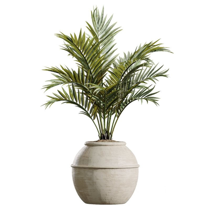 AV Indoor Plants Set 429 Palm Euphorbia Olive Ficus Image 5
