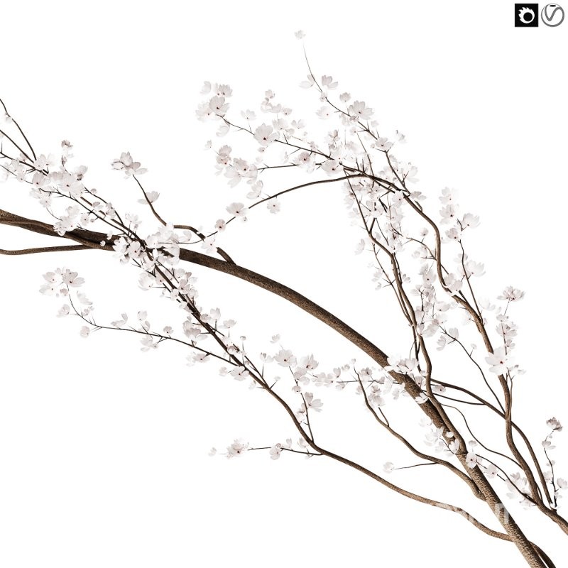 Flowering branch in a vase 04 Image 2