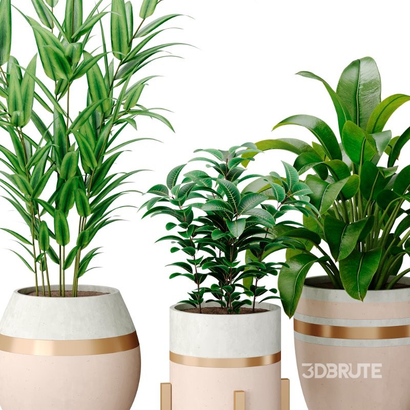 Bouquetofflowers in concrete vase Image 5