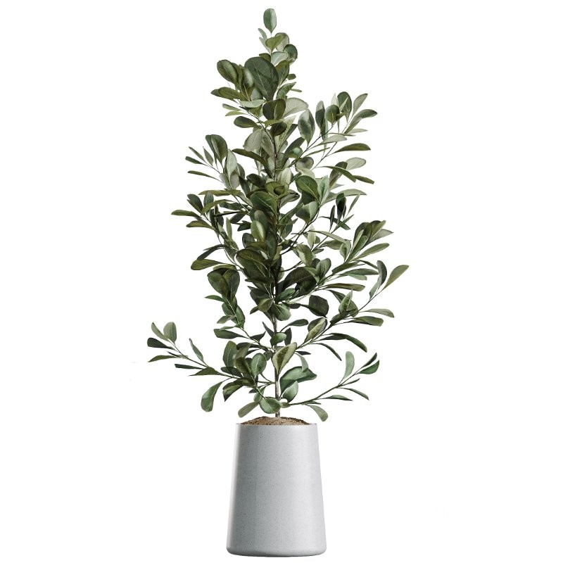 ntal forms, and vibrant fruit detail creates a balanced botanical palette perfect for contemporary homes, minimalist interiors, luxury offices, and commercial spaces. Image 2