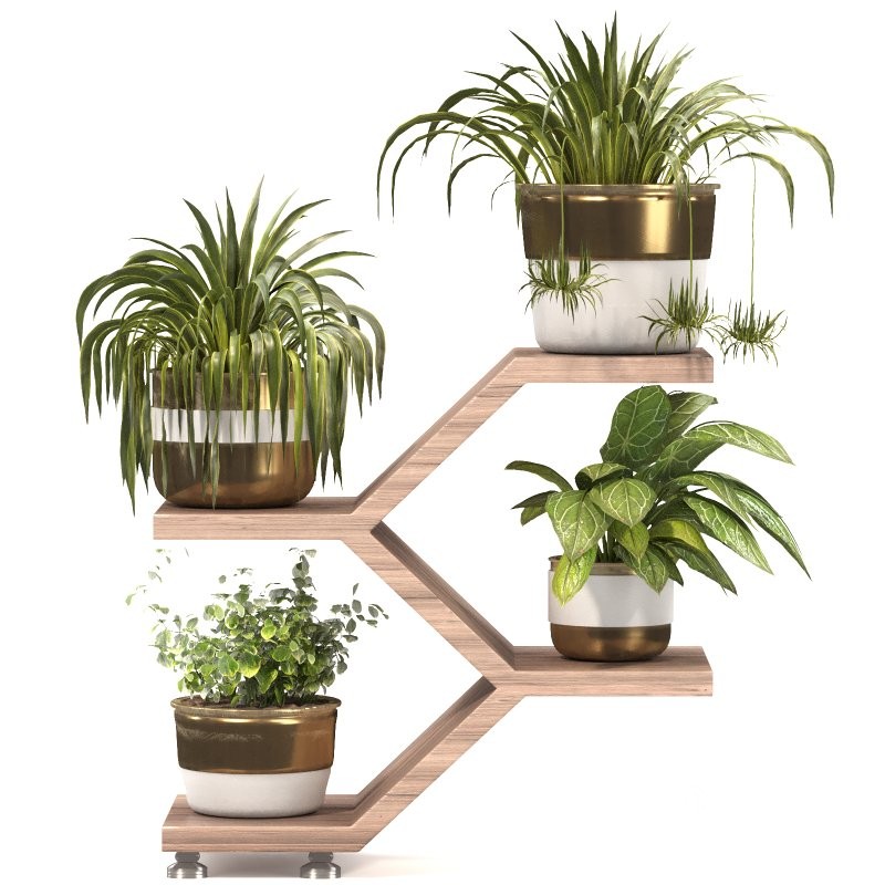 Planting Stand 02 Image 5