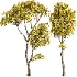 Tree set45 - Thumbnail 1
