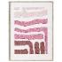 Painting Relief Bordo Lines - Thumbnail 1