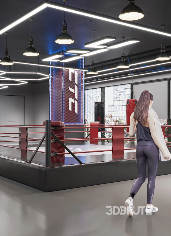 Fighting Boxing Gym Image 4