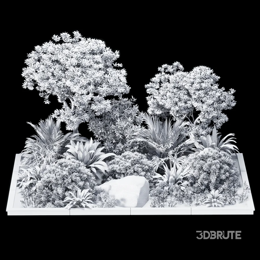 Outdoor plant Image 4