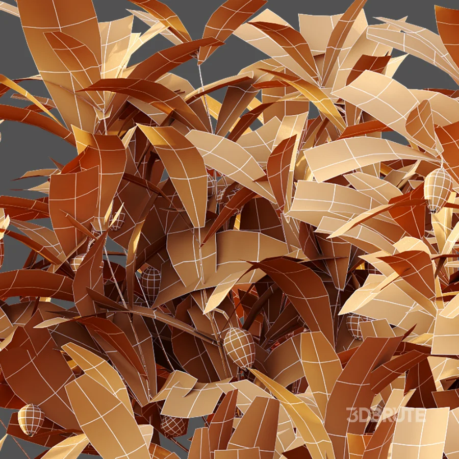 AV Plant Bush Bilberry Vaccinium Myrtillus Flower Image 10