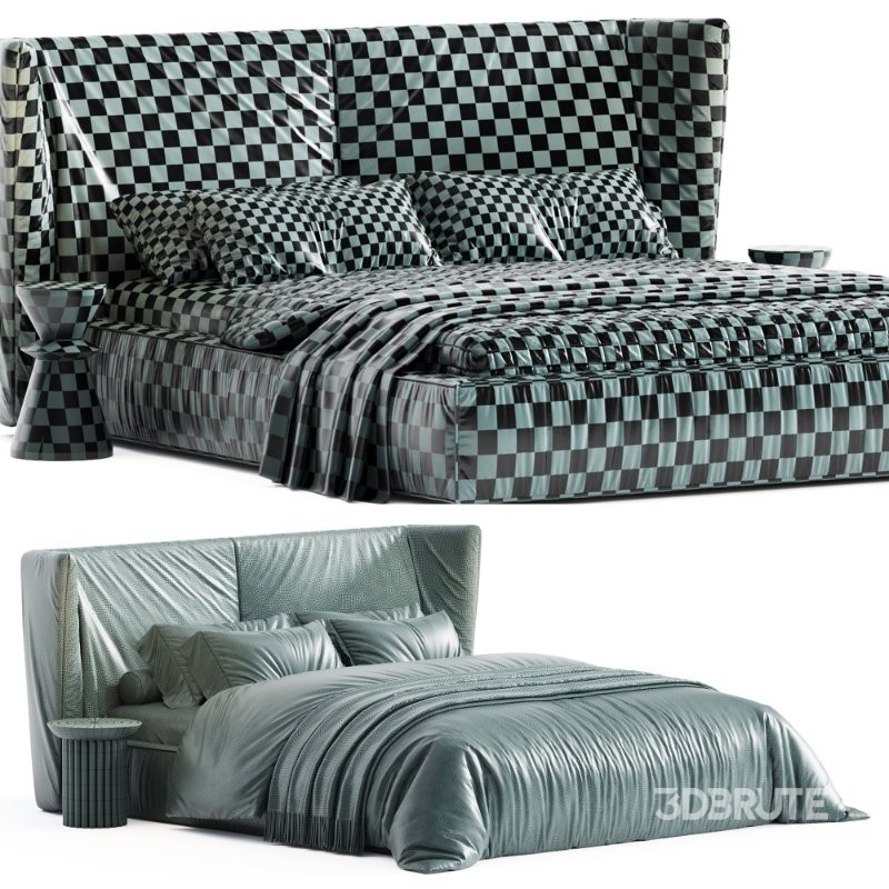 Hide Bed By His Image 6