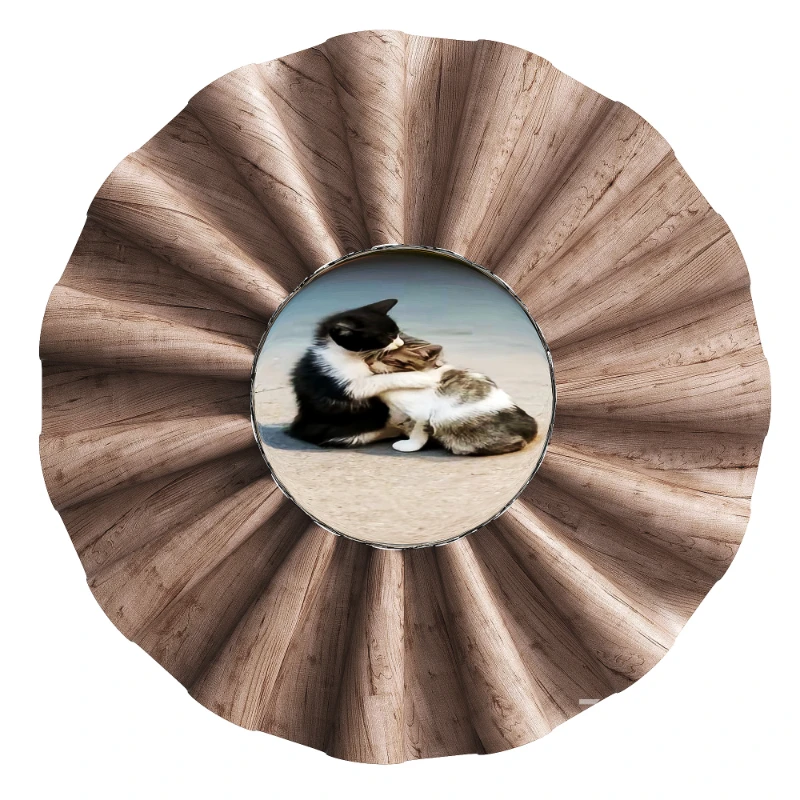 Dom Sebastiao Mirror Image 2