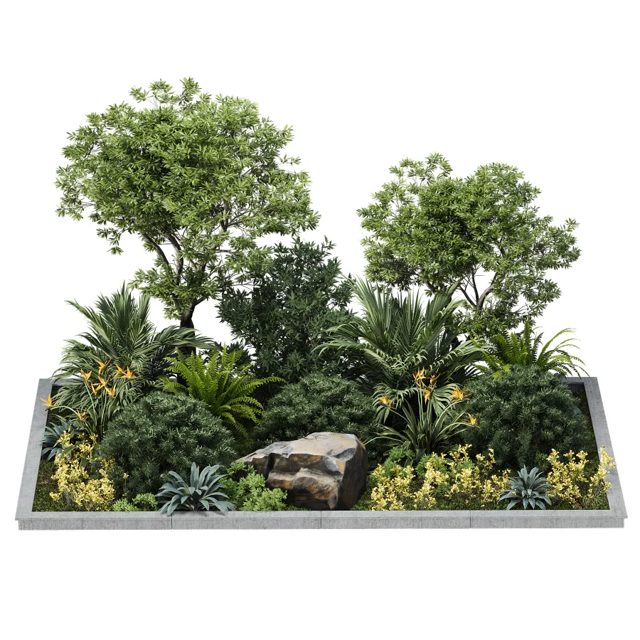 Outdoor plant Image 1