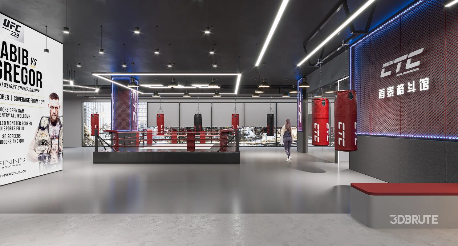 Fighting Boxing Gym Image 7