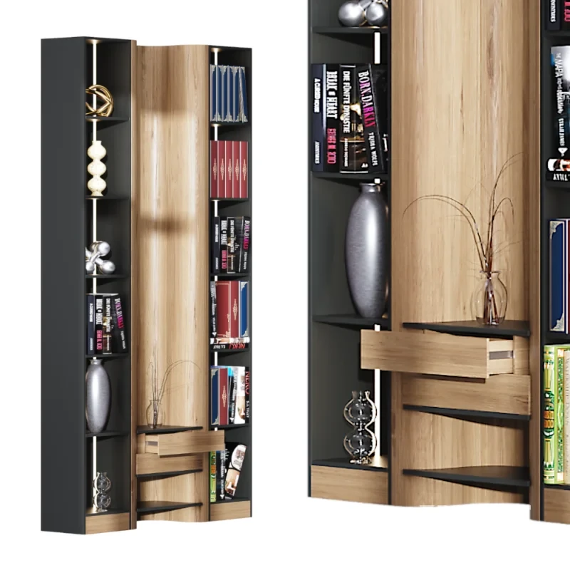 Bookcase in a modern style Image 6
