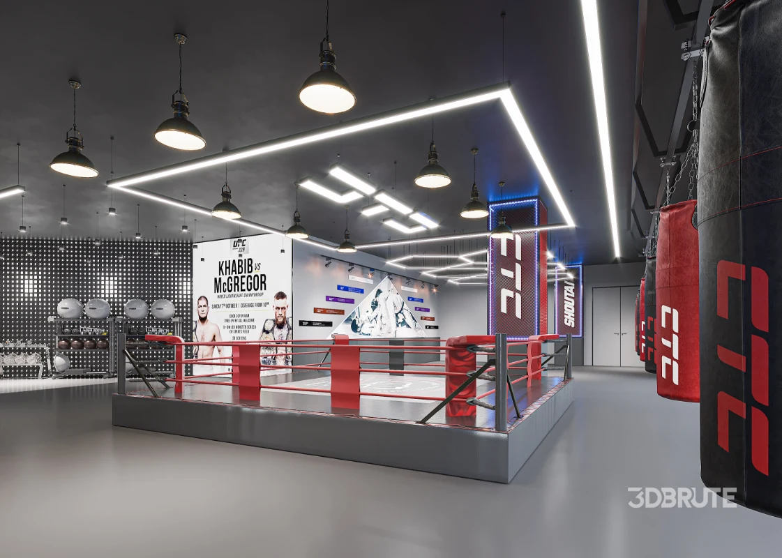 Fighting Boxing Gym Image 6