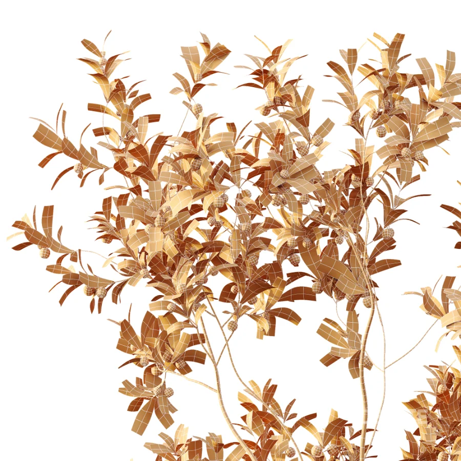 AV Plant Bush Bilberry Vaccinium Myrtillus Fruit Image 12