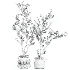 Potted tree - Thumbnail 3