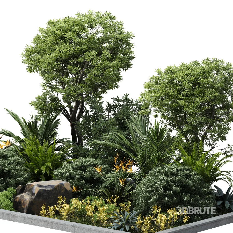 Outdoor plant Image 3