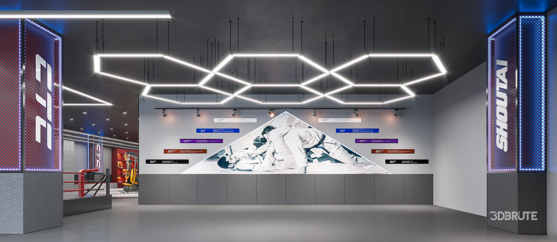 Fighting Boxing Gym Image 2