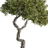 Tree Set40 - Thumbnail 2