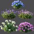 AV Smooth Wild Hydrangea and Lavandula Pedunculata - Thumbnail 7