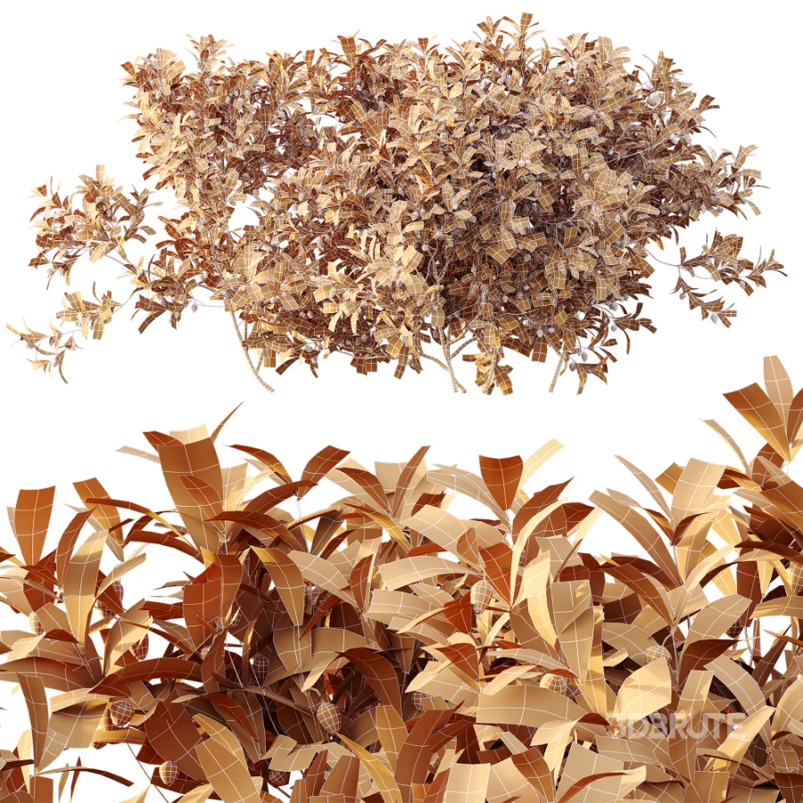 AV Plant Bush Bilberry Vaccinium Myrtillus Flower Image 11