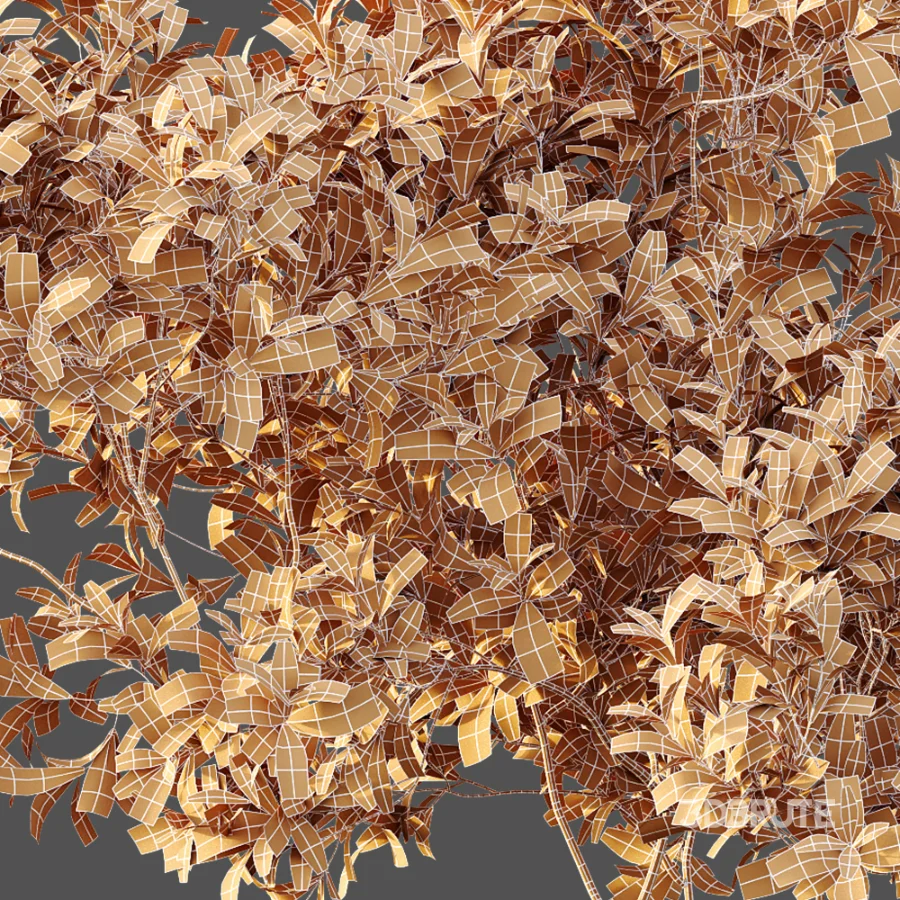 AV Plant Bush Bilberry Vaccinium Myrtillus Image 11