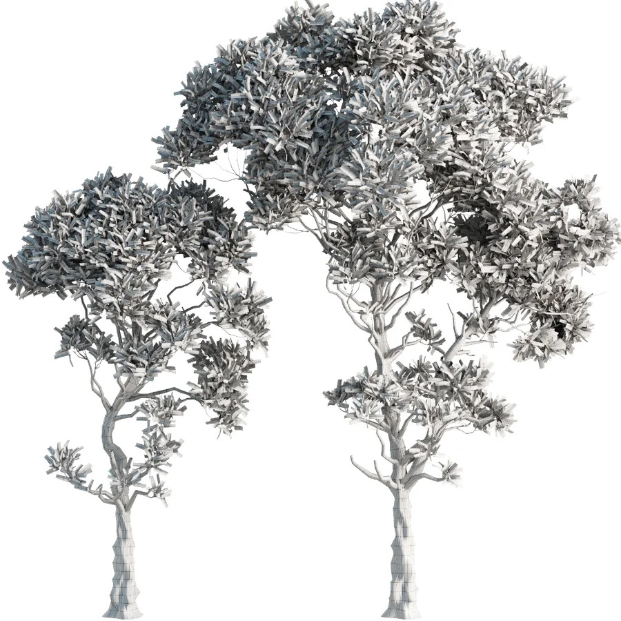 Tree Set39-Urban tree Image 4