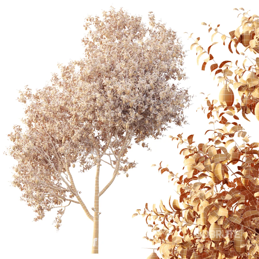 AV Plants Citrus Meyer Lemon Orange Version02 Image 7