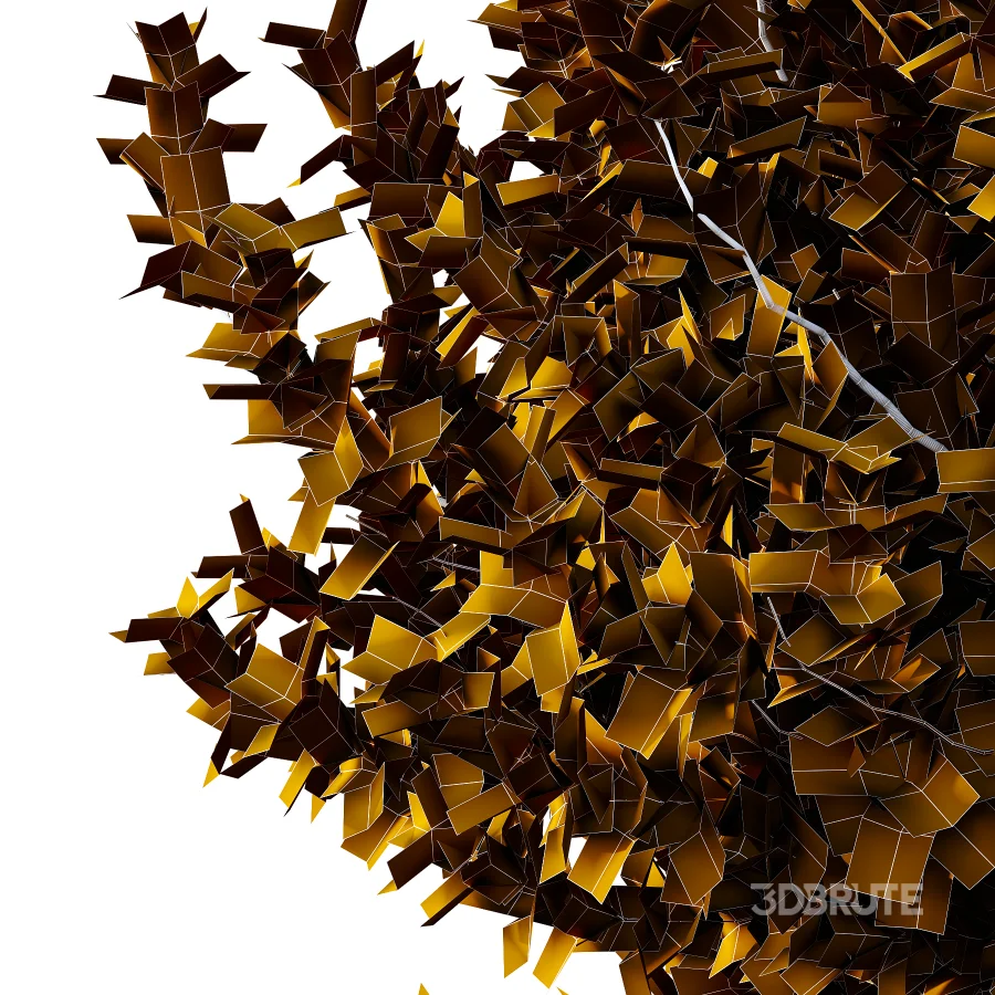 Diffrent Bush 01 Fruits Fortescue Euonymus Image 1