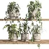 ivy potted plants on shelf - Thumbnail 1